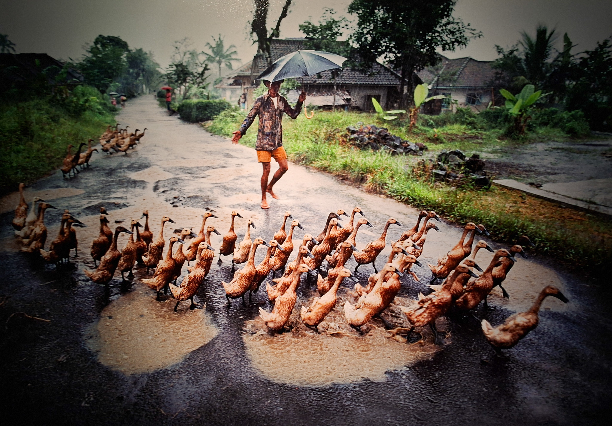 Móvil 20260613 Steve McCurry 116